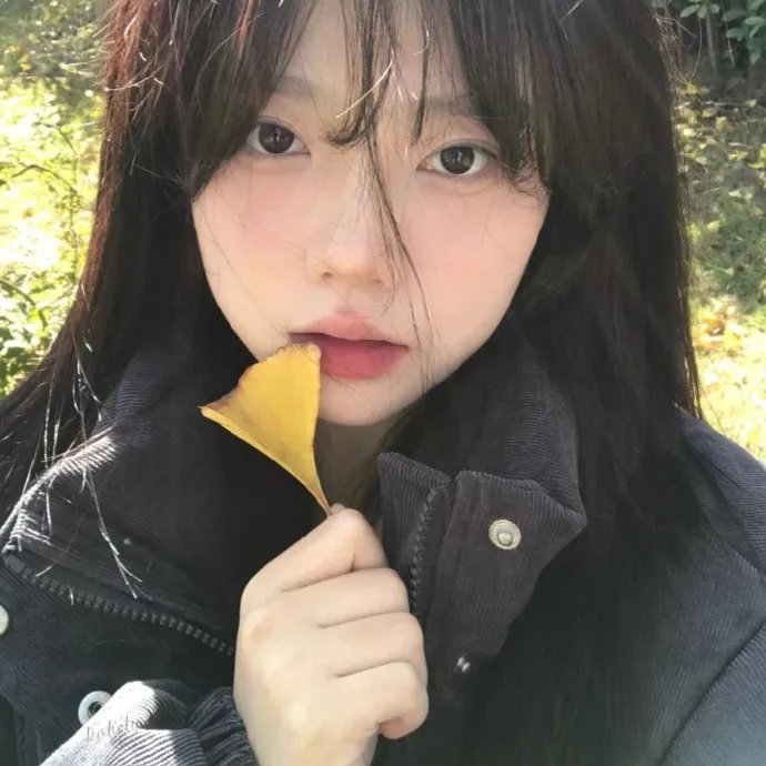玫瑰剧照